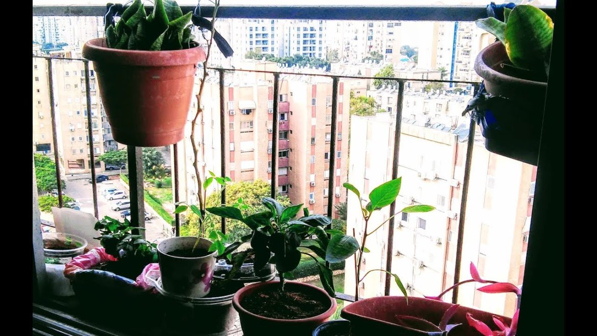 Tapin2life Window Garden Tips