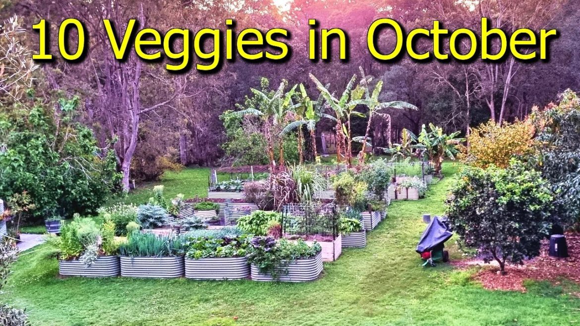 10 Vegetable Crops I'm Growing in October