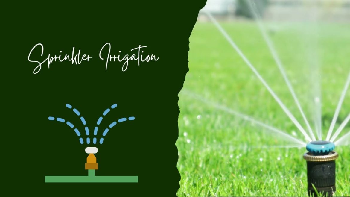 What is Sprinkler irrigation? @HowAGardenWorks . Gardening Tips What is Sprinkler irrigation? @HowAGardenWorks . Gardening Tips