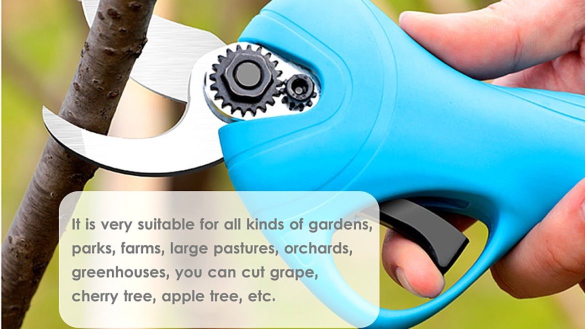 5 Amazing and Useful Garden Tools !!!