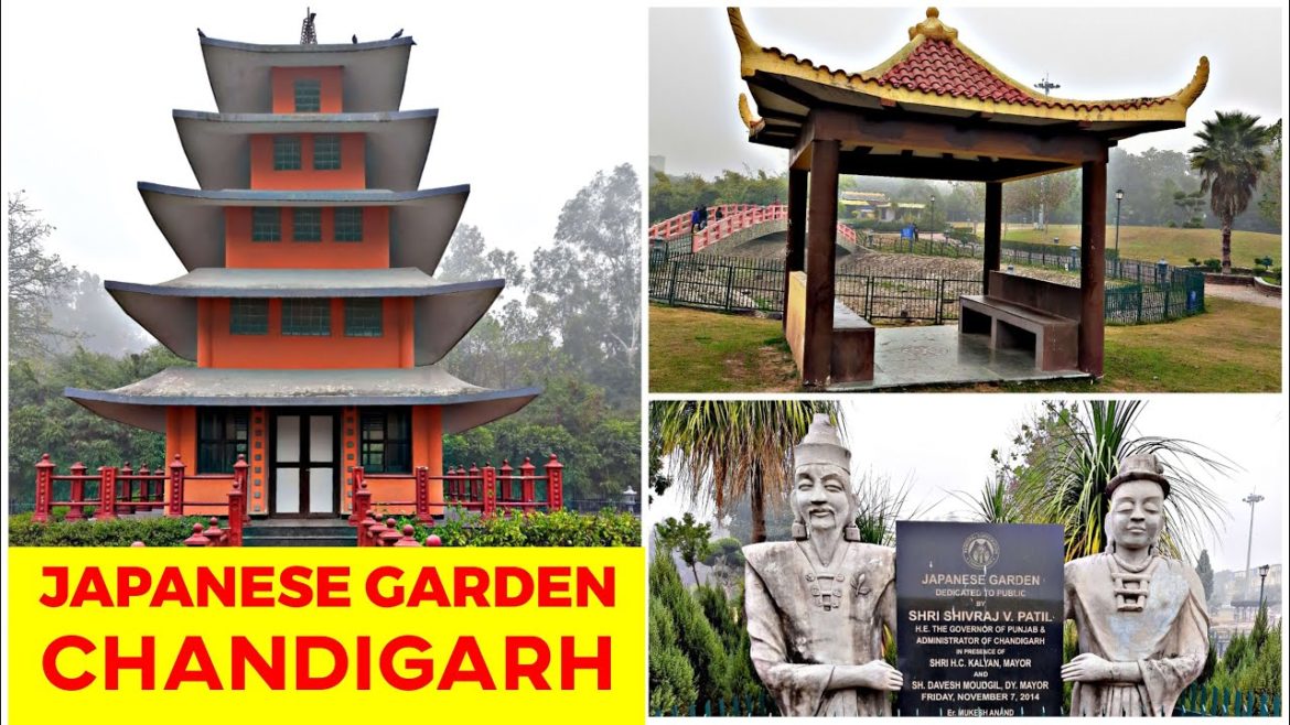 Japanese Garden Chandigarh | Exploring Japanese Garden | Chandigarh | Places To Visit In Chandigarh
