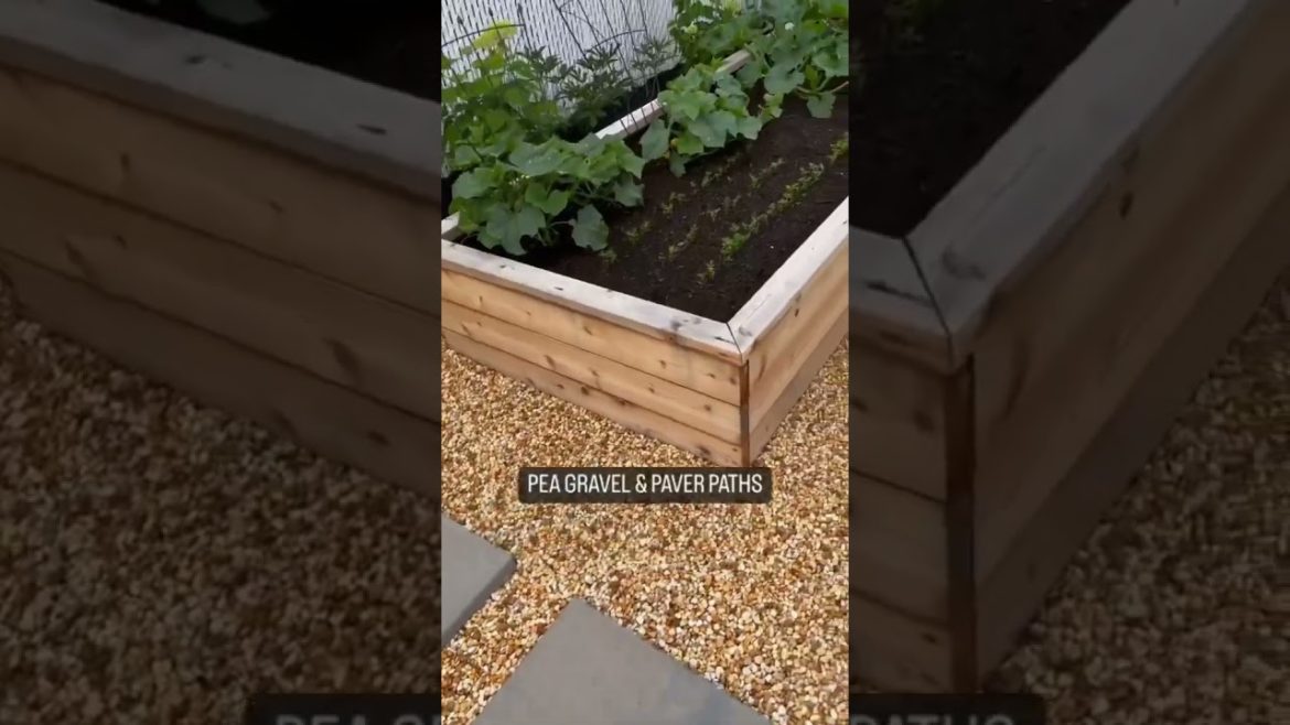 Latest kichen garden design #shorts #kichengarden