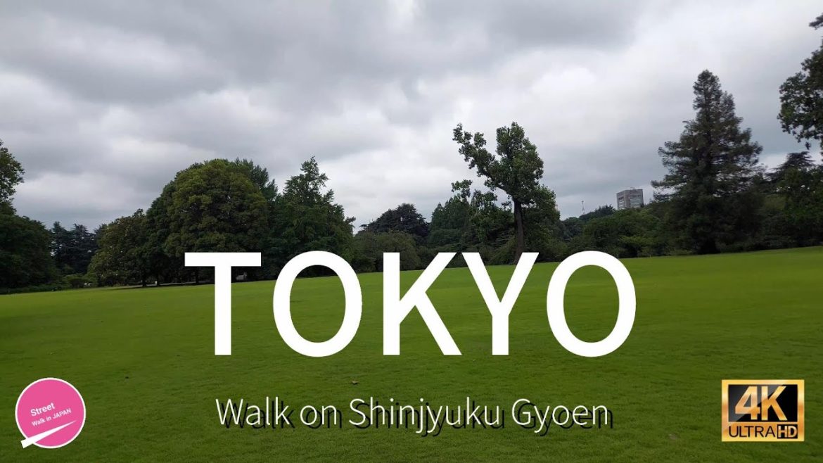 [4K] Japanese Garden! Walk on Shinjuku Gyoen in Tokyo - Roses are in full bloom