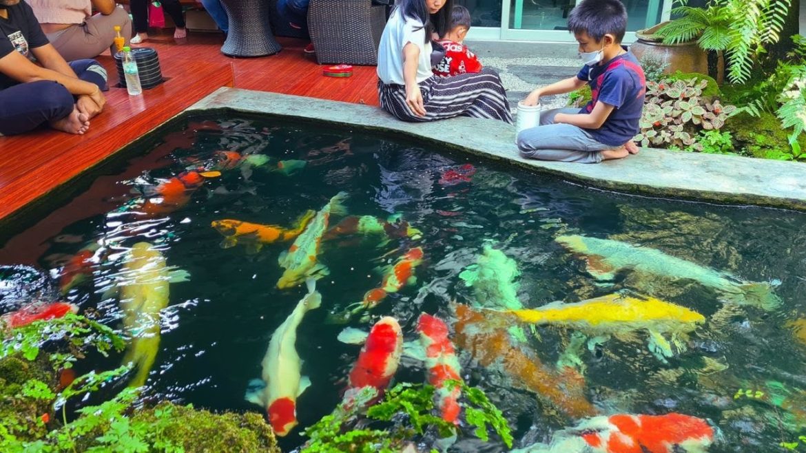 Amazing Backyard Garden Koi Pond With Waterfall | Best Koi Pond Design