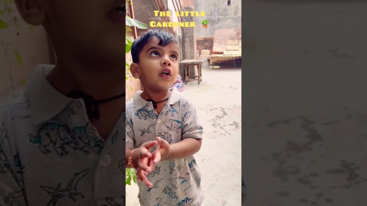 Adorable Little Gardener #shorts #youtubeshorts #shortsfeed #simba #shivakshijassmaan