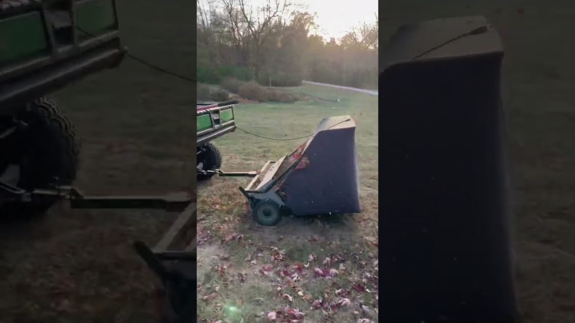 ๐ #fallleaves #healthysoil #mulching ๐ #fallleaves #healthysoil #mulching