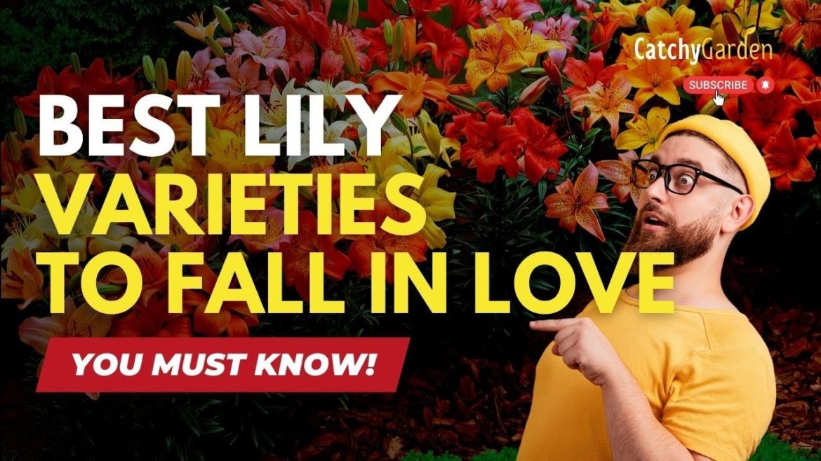Best Lily Varieties to Fall In Love With πΈπΊ // Gardening Tips Best Lily Varieties to Fall In Love With πΈπΊ // Gardening Tips