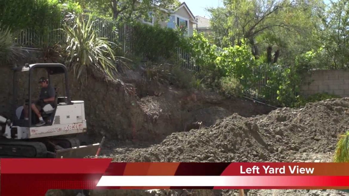 Time Lapse Backyard Landscape