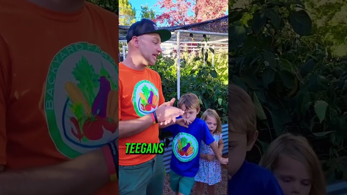 This pepper is amazing as a verde salsa 🔥 #pepperrecipes #aconcagua #aconcaguaroaster