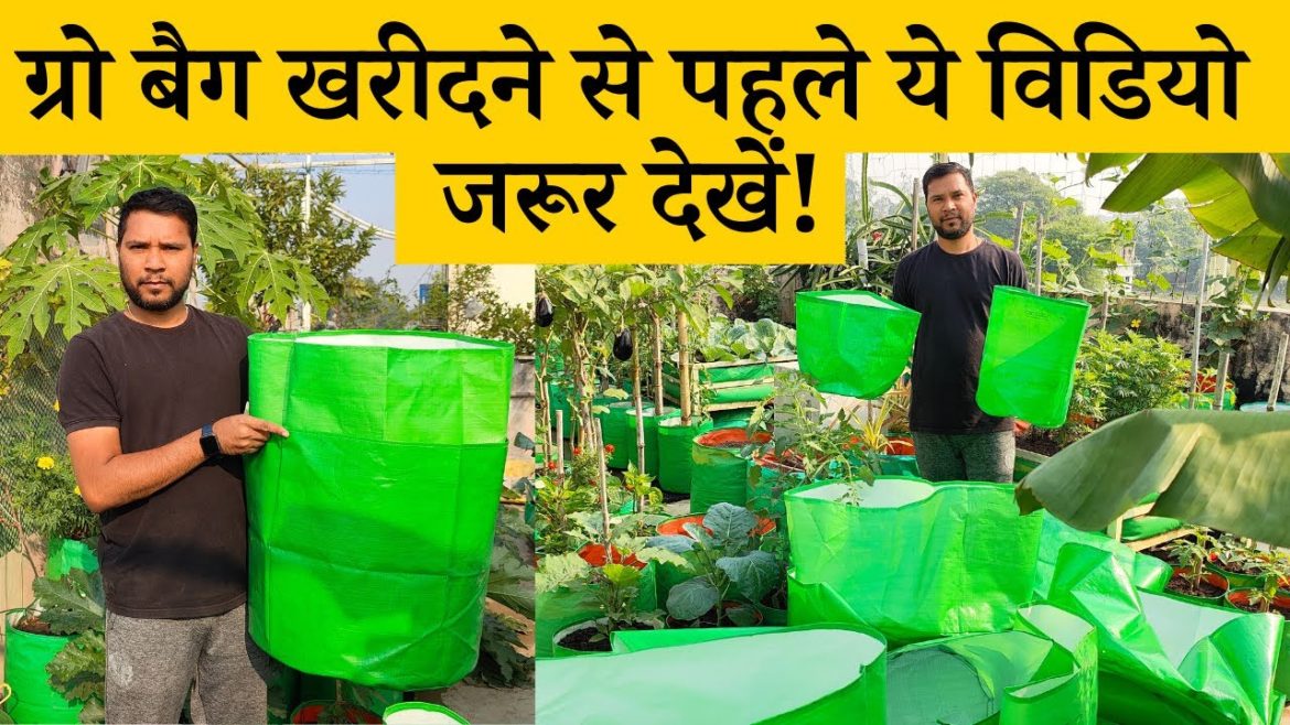 होम गार्डनिंग के लिए अलग-अलग साइज के ग्रो बैग की जानकारी | Different sizes of grow bags in Hindi