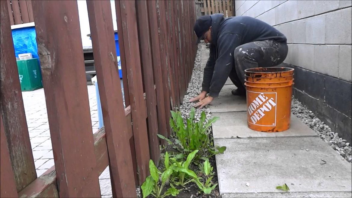 Landscaping DIY-Filling Blank Areas With Gravel-Make Your Backyard Look Better Landscaping DIY-Filling Blank Areas With Gravel-Make Your Backyard Look Better