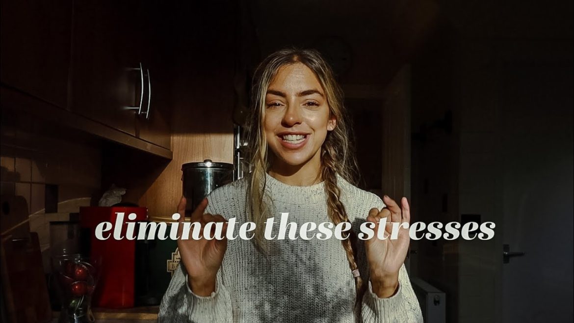 November Monthly Reset 🍂 decluttering, budget & fall garden | messy to minimal routine