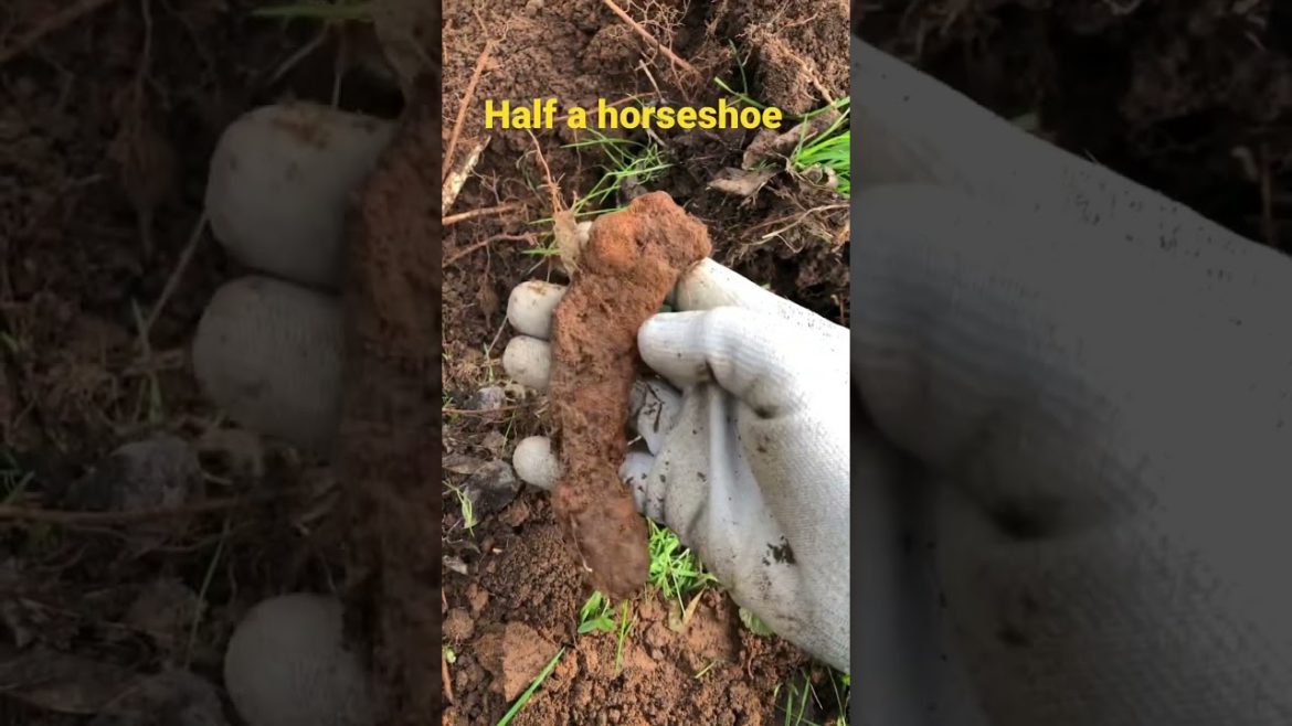 Metal Detecting: Found half a horseshoe! Will we find more?