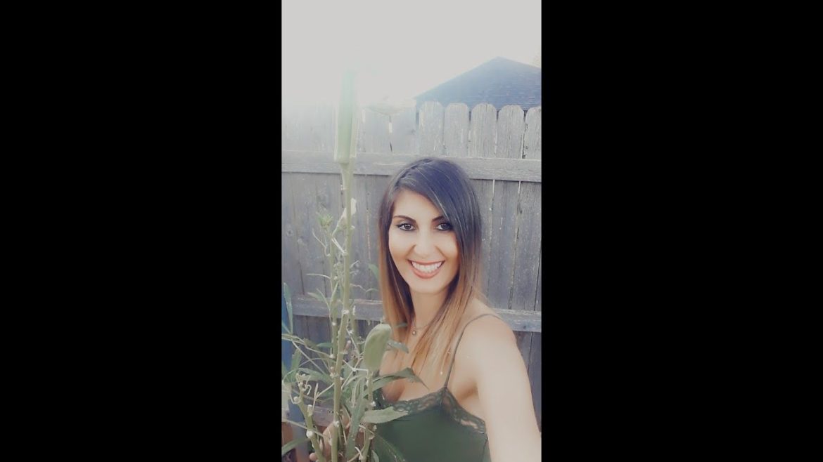 Hardy Flowers | Gardening Tips | Perennial Gardens | Zone 7 | Spenta