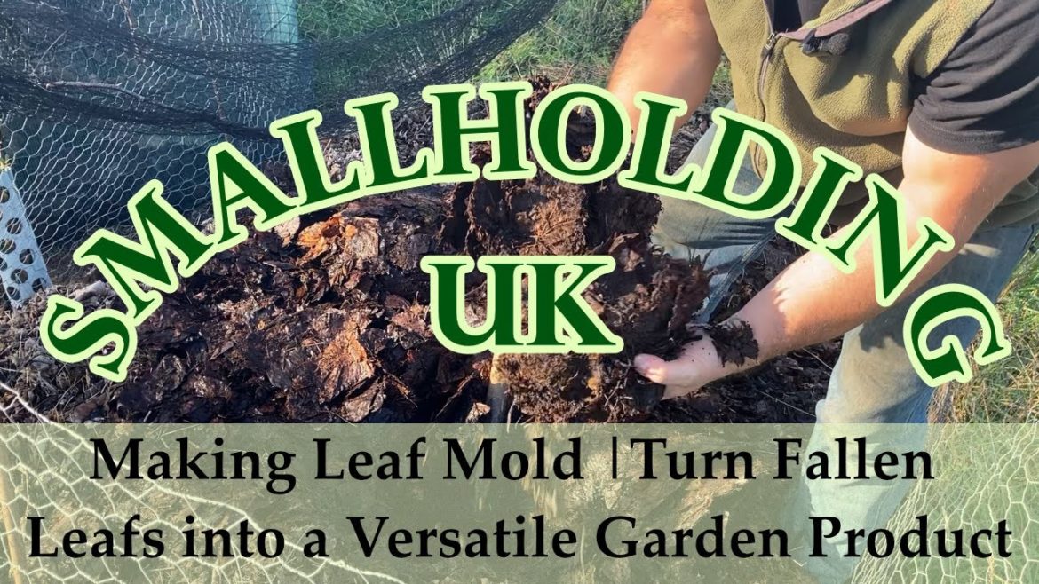Making Leaf Mold | Turn Fallen Leafs into a Versatile Garden Product