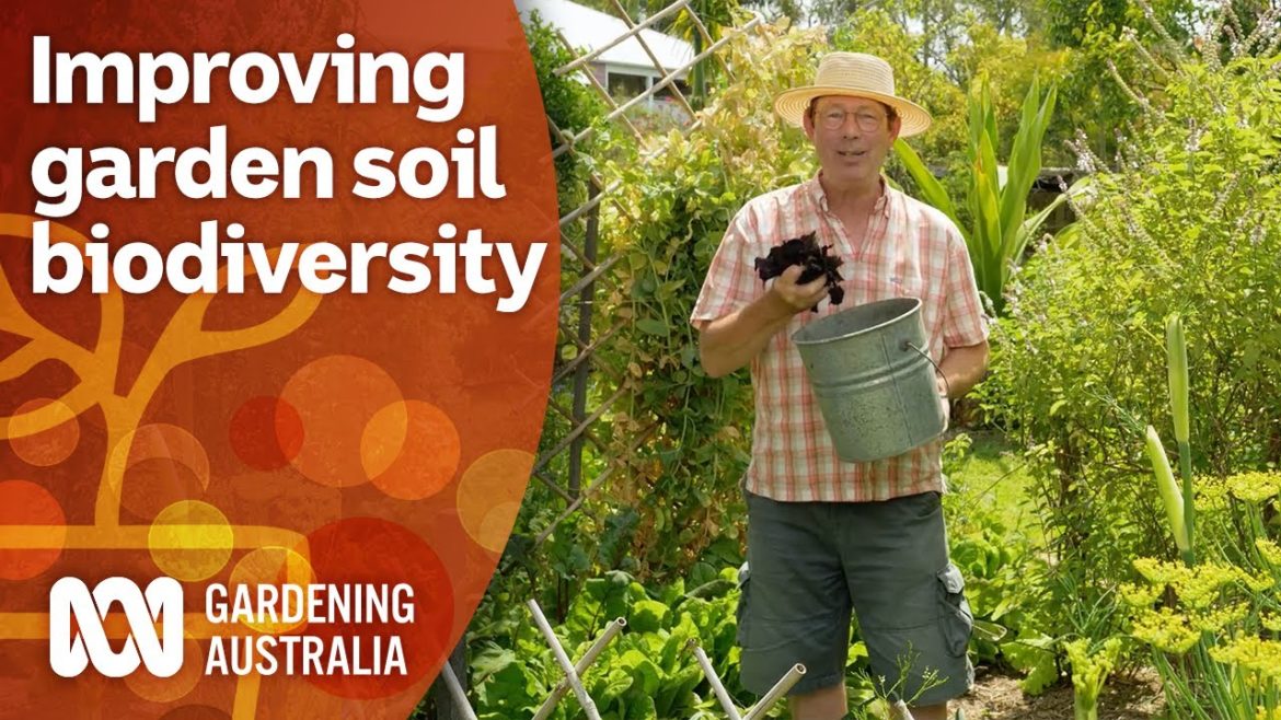 How to increase the biodiversity in your garden soil | Gardening 101 | Gardening Australia How to increase the biodiversity in your garden soil | Gardening 101 | Gardening Australia