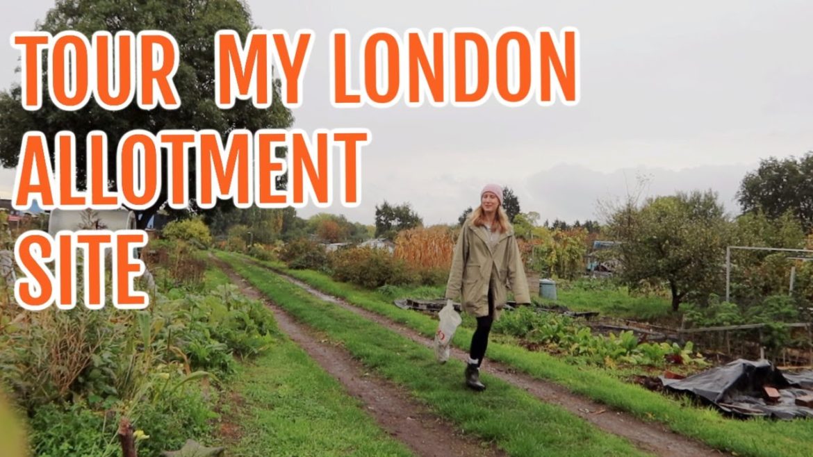 TOUR OF A LONDON ALLOTMENT SITE / ALLOTMENT GARDENING FOR BEGINNERS TOUR OF A LONDON ALLOTMENT SITE / ALLOTMENT GARDENING FOR BEGINNERS
