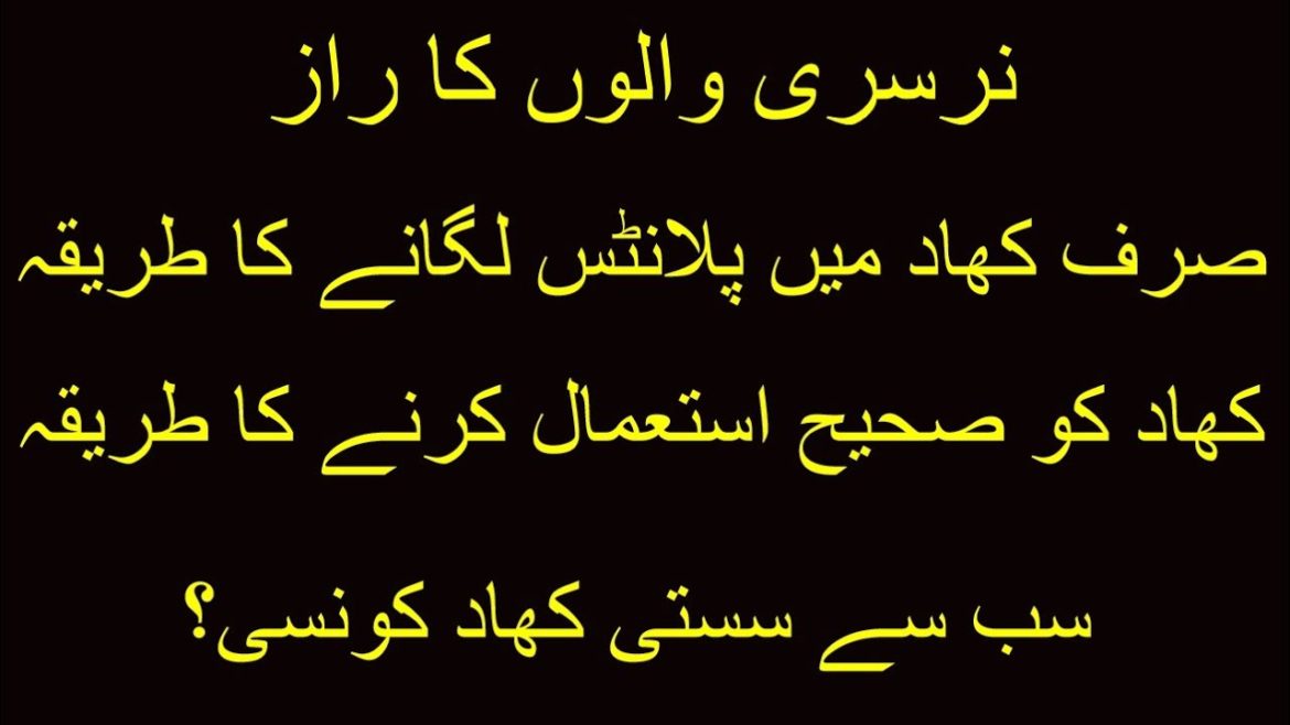 Khad Ko Istemal Karne Ka Sahi Tarika #gardening #gardeningtips