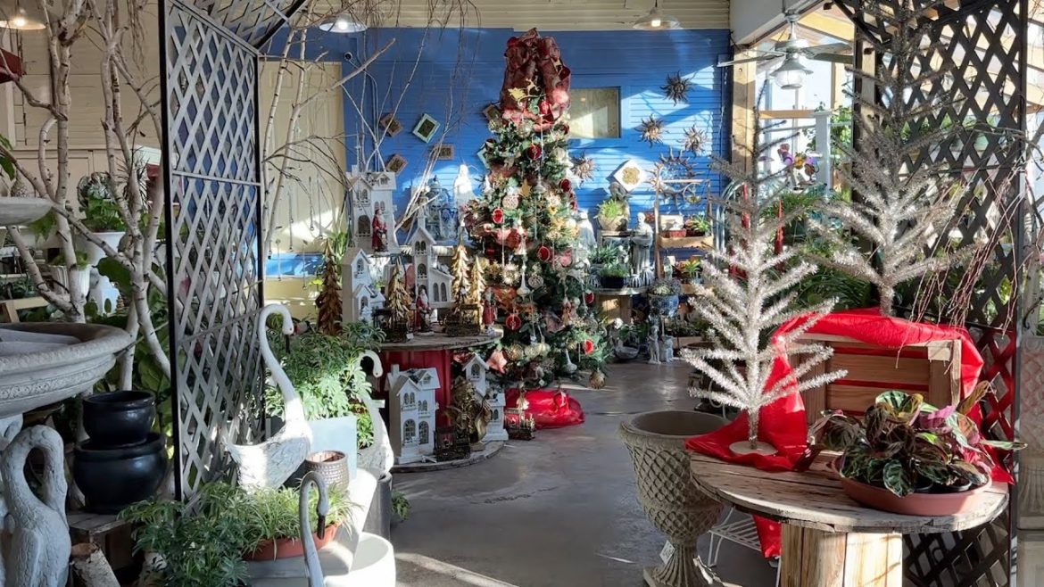 Garden Answer: Setting Up For Christmas at the Garden Center + Decorating a Tree (Part 2)! 🎄🙌🥰 // Garden Answer Setting Up For Christmas at the Garden Center + Decorating a Tree (Part 2)! 🎄🙌🥰 // Garden Answer