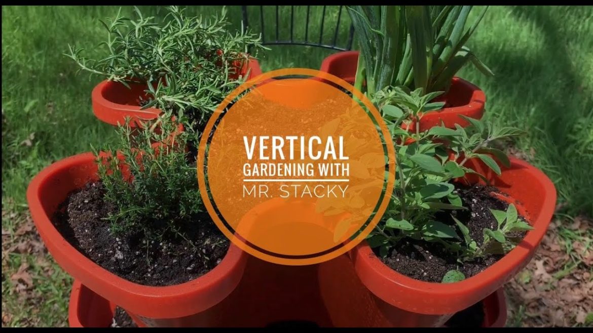 Vertical Gardening with Mr. Stacky