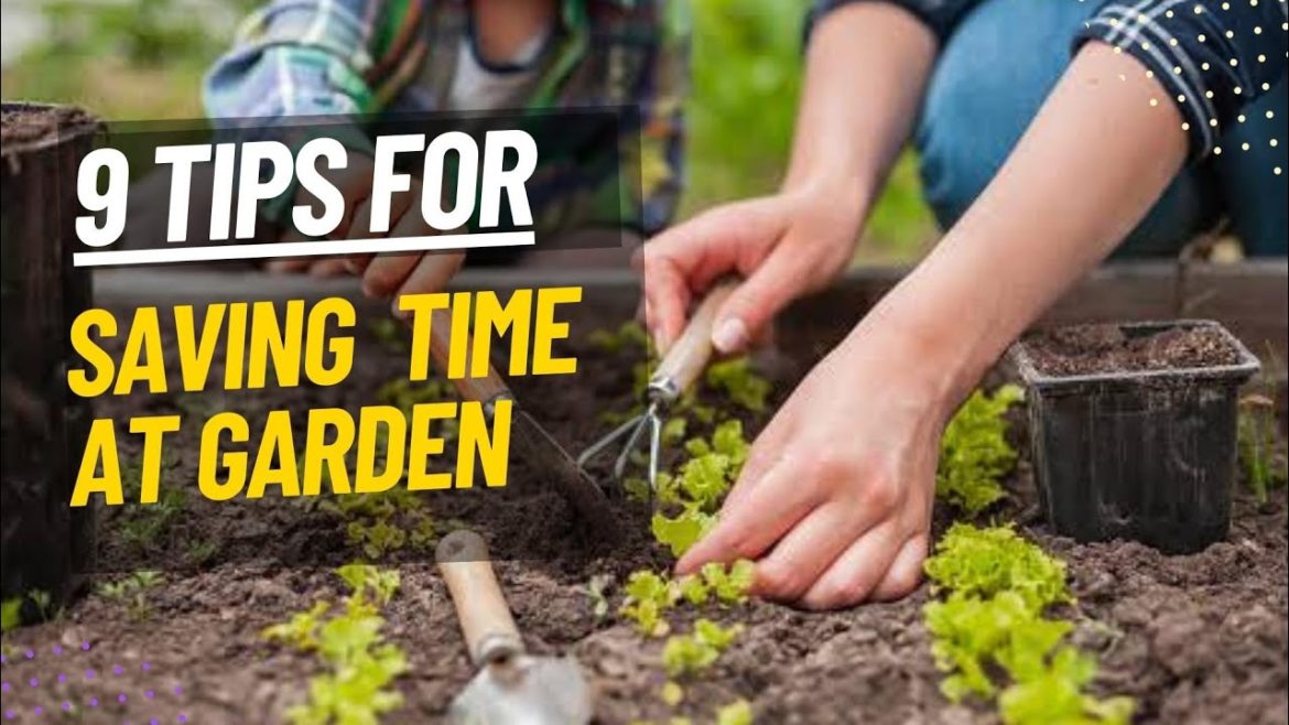 9 Tips to save your time in the garden || Top Ideas every gardener should know 9 Tips to save your time in the garden || Top Ideas every gardener should know