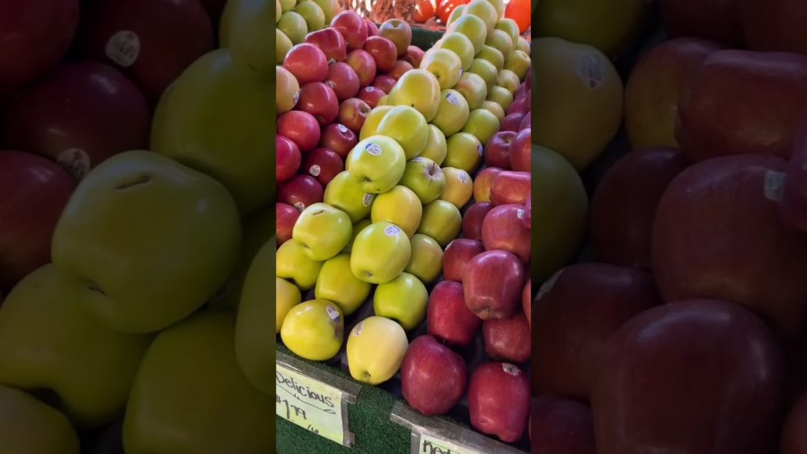 Fall Things to Do in Tampa | Bearss Groves Fall Things to Do in Tampa | Bearss Groves