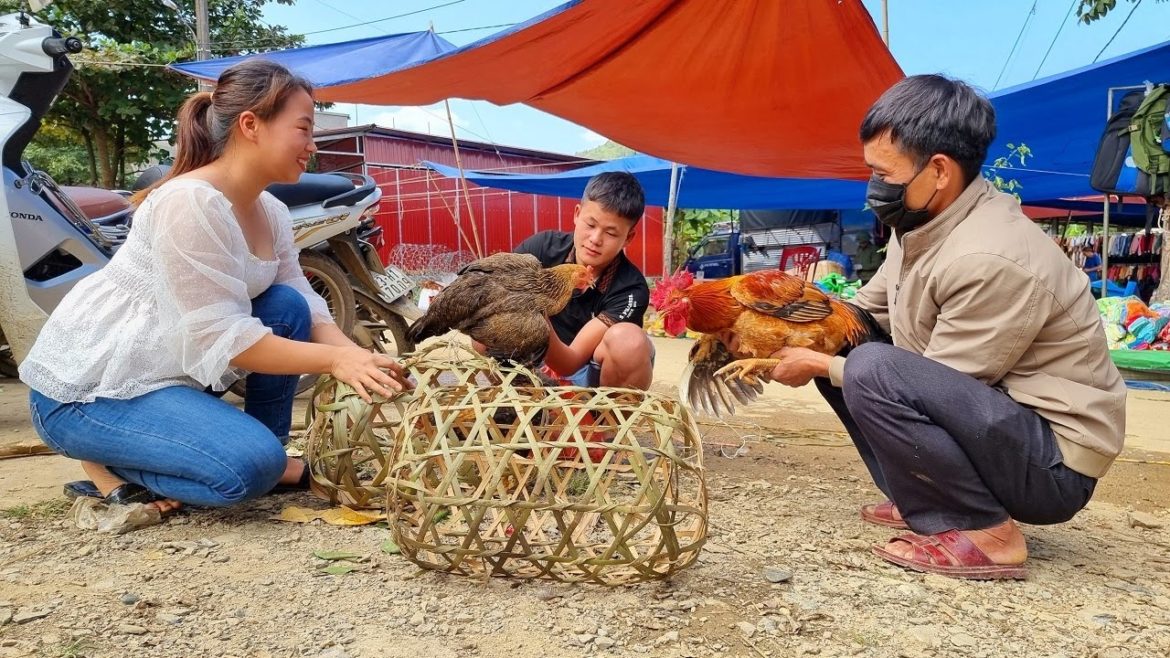 Phuong sells chickens at the market, Builds a trellis for climbing beans – Ep.17 Phuong sells chickens at the market, Builds a trellis for climbing beans - Ep.17