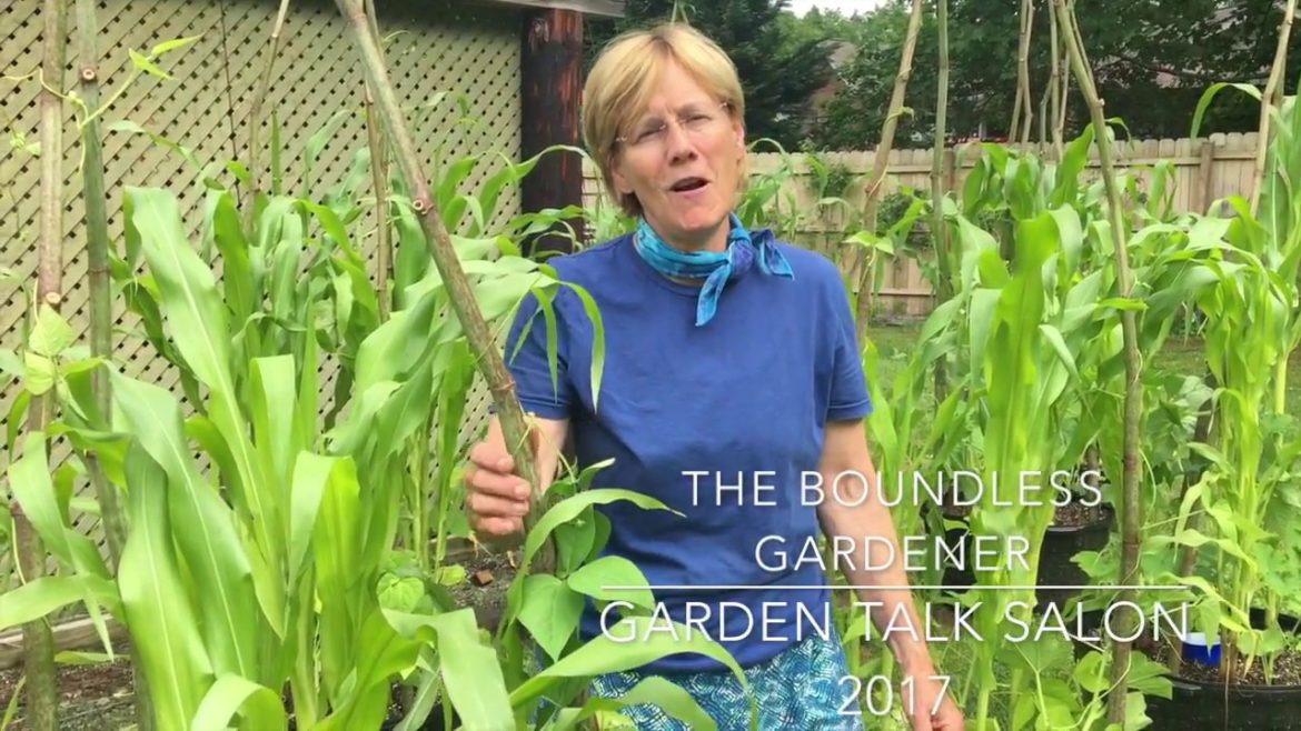 Exhibition Container Gardening & Heritage Three Sisters Gardens
