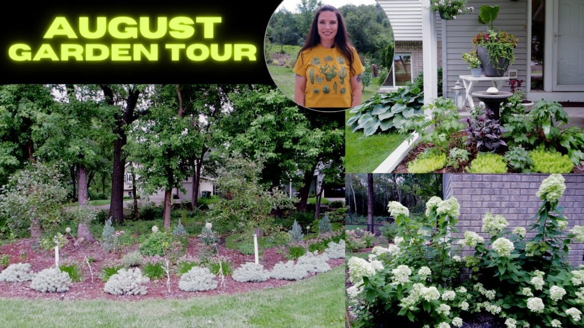 August Garden Tour Part 1 – front yard | Serenity Now Garden August Garden Tour Part 1 - front yard | Serenity Now Garden