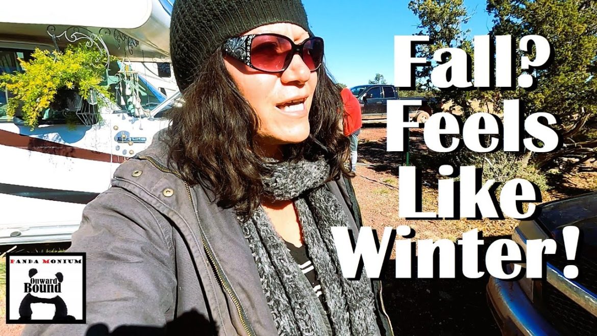 More Security Cameras, Walk Around RV Base Camp Homestead & Fall Garden Tour More Security Cameras, Walk Around RV Base Camp Homestead & Fall Garden Tour