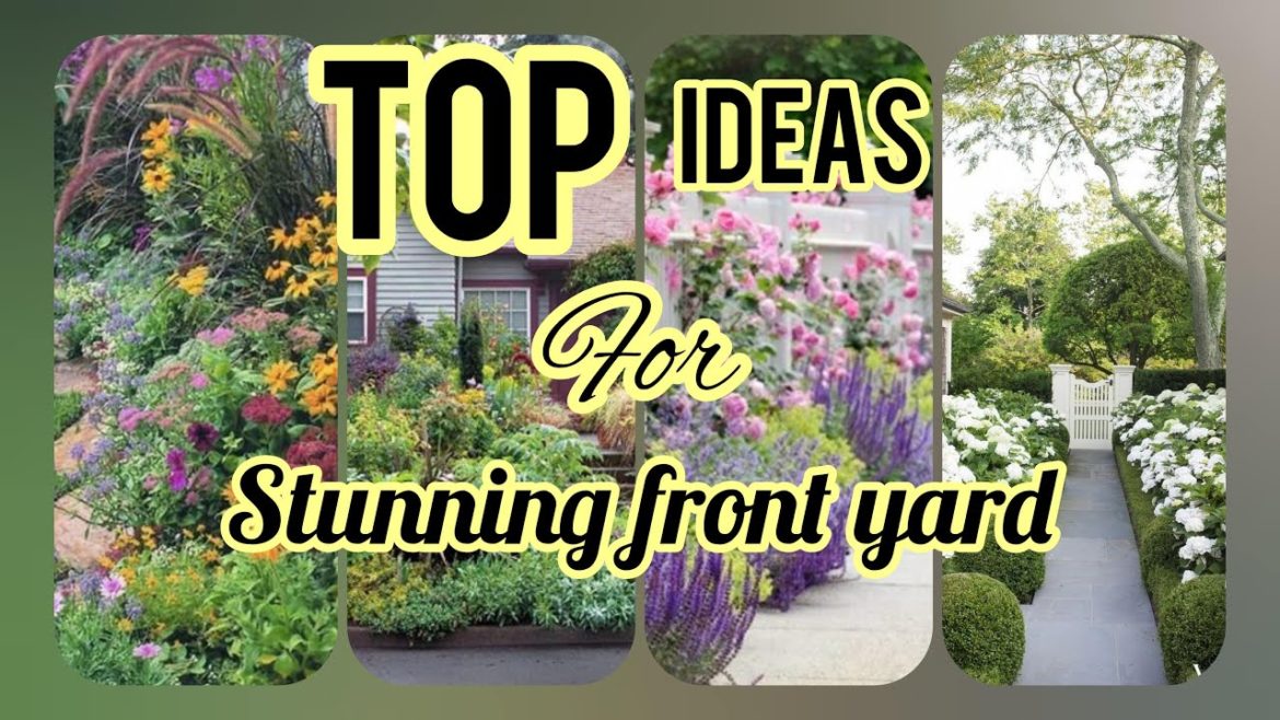 BEST FRONT YARD LANDSCAPE | Garden Aesthetic