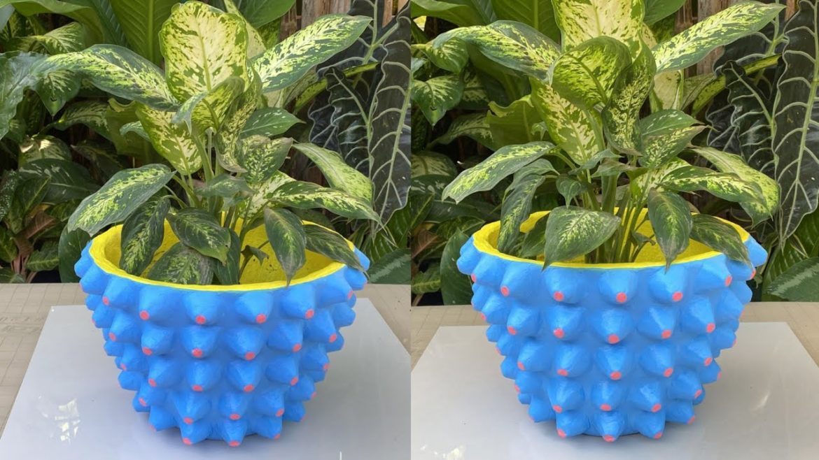 Unique Idea | Tray Of Egg To Make Cement Pot Flower For Home Garden | Beautiful Tips