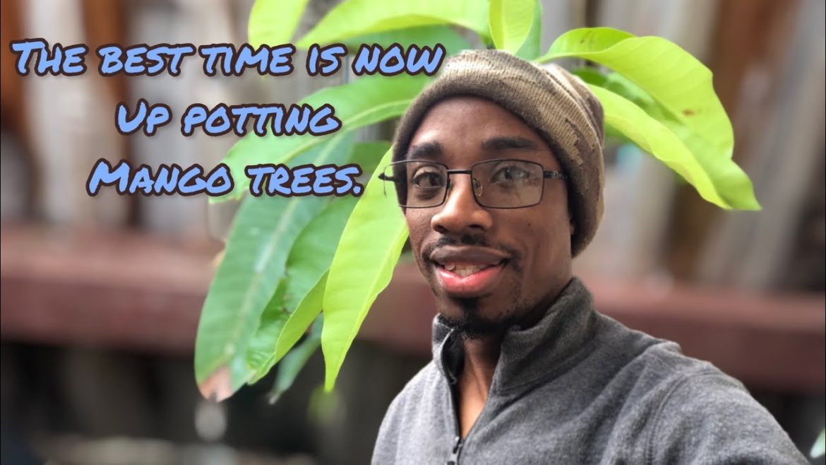 The Best Time Is Now ! The Best Time Is Now !