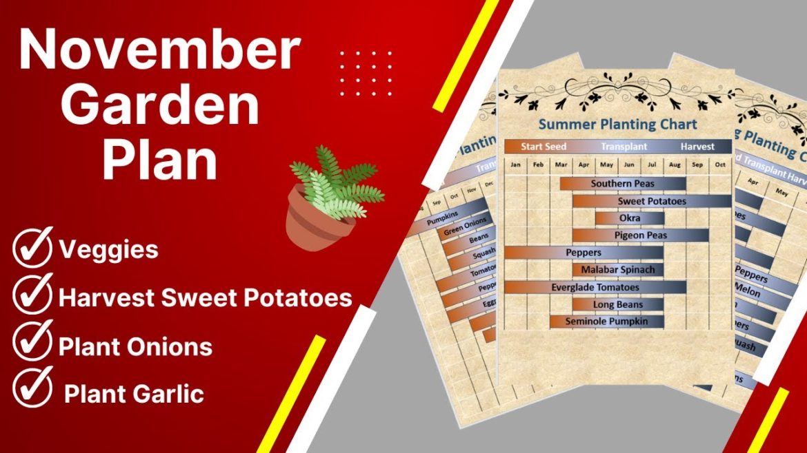 Exciting News and the Monthly November Garden Plan Revealed!