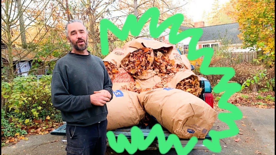 Leaf Bag Season 2022   Super Shredding!