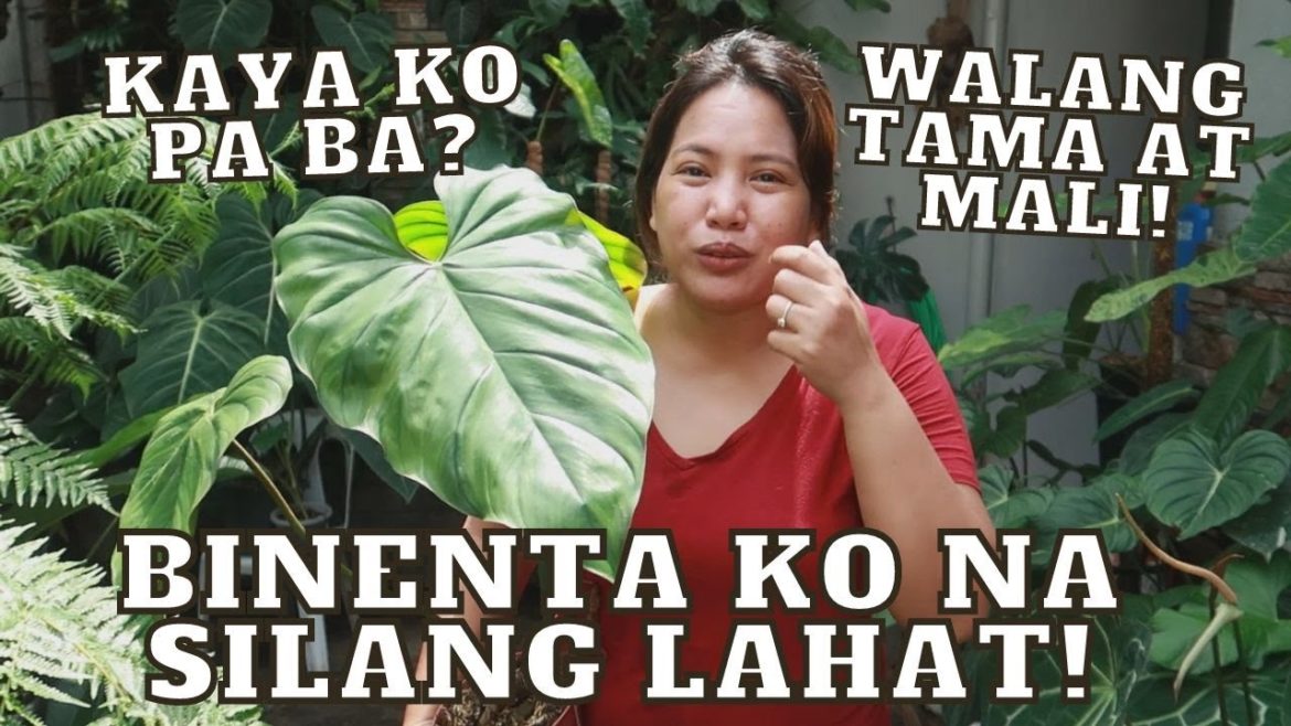 TROPICAL GARDEN UPDATE 51 | MGA RARE PLANTS NA NABENTA KO NA! |  KAYA KO PA BA ANG PRESSURE?