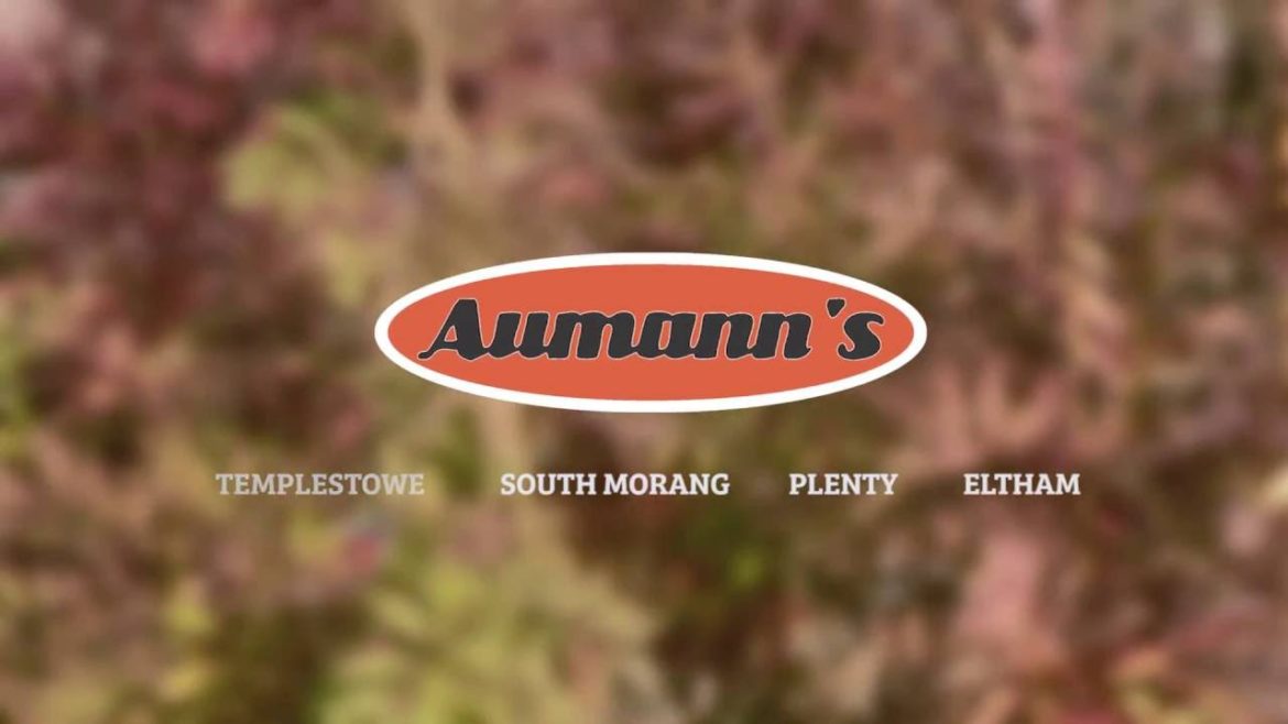 Aumann's Landscaping and Gardening