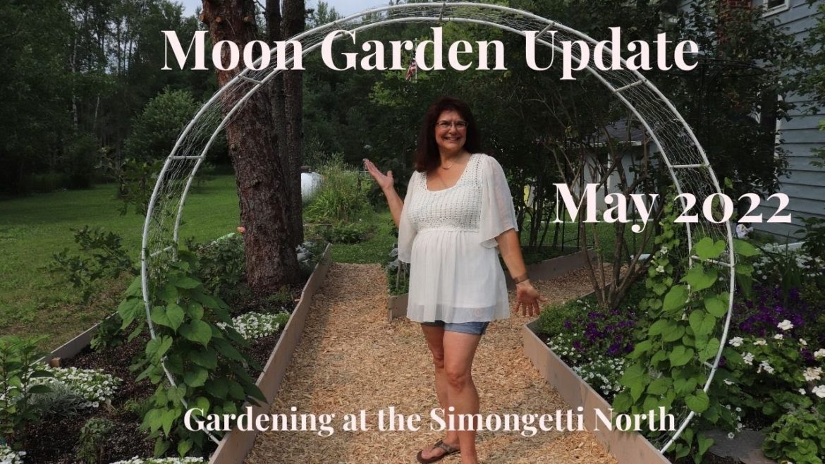 Moon Garden May 2022 πβοΈπ// Gardening at the Simongetti North Moon Garden May 2022 πβοΈπ// Gardening at the Simongetti North
