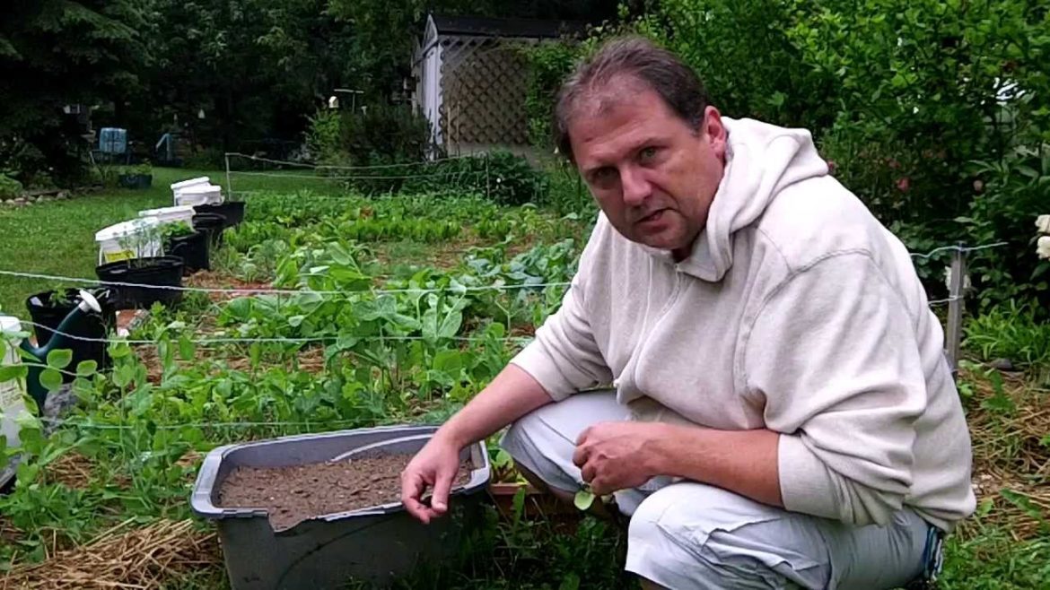 Container Gardening Hugelkultur Bed Cucumbers Herbs Nettles And Zucchini