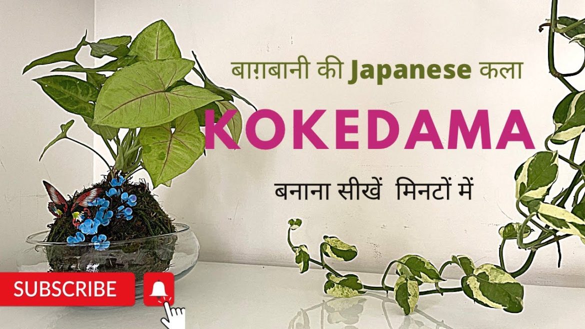 बाग़बानी की Japanese कला Kokedama बनायें मिनटों में || Creative Gardening ideas बाग़बानी की Japanese कला Kokedama बनायें मिनटों में || Creative Gardening ideas