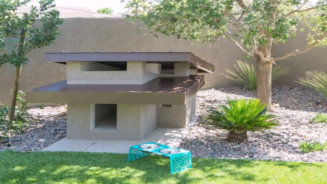 Backyard Landscaping Ideas For Dog Owners All For Gardening