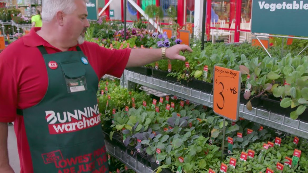 How To Design A Functional Garden – D.I.Y. at Bunnings How To Design A Functional Garden - D.I.Y. at Bunnings