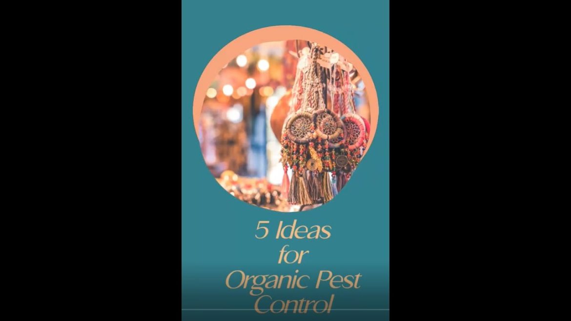 Garden Tips: 5 Ideas for Organic Pest Control