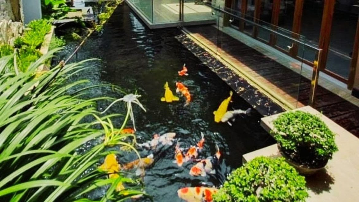 Top 5 Beautiful Villa Koi in Garden Design | Amazing Backyard Koi Pond Top 5 Beautiful Villa Koi in Garden Design | Amazing Backyard Koi Pond