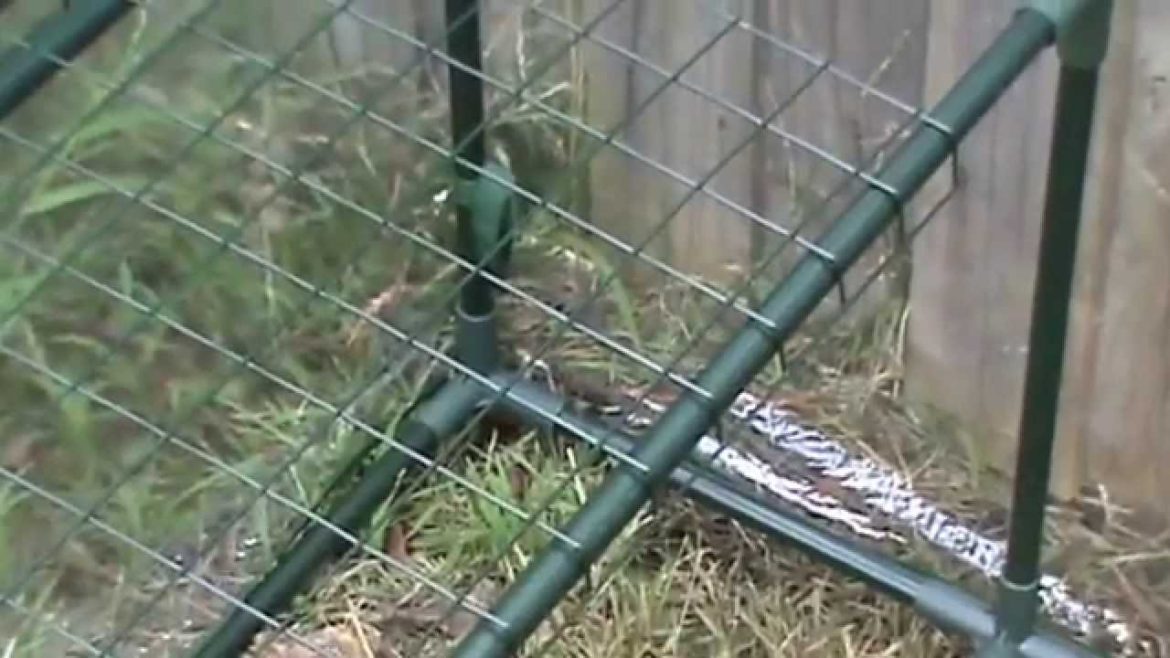 Phil's Gardening Tips And Tricks Securing The Greenhouse