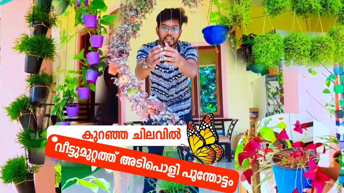 Beautiful Home garden tour|Hanging plants|Indoor plants|Terrace Garden ideas|DIYideas |Garden home