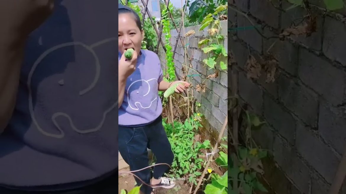 Beautiful Nature with Rural Life #shorts #naturalife #rurallife