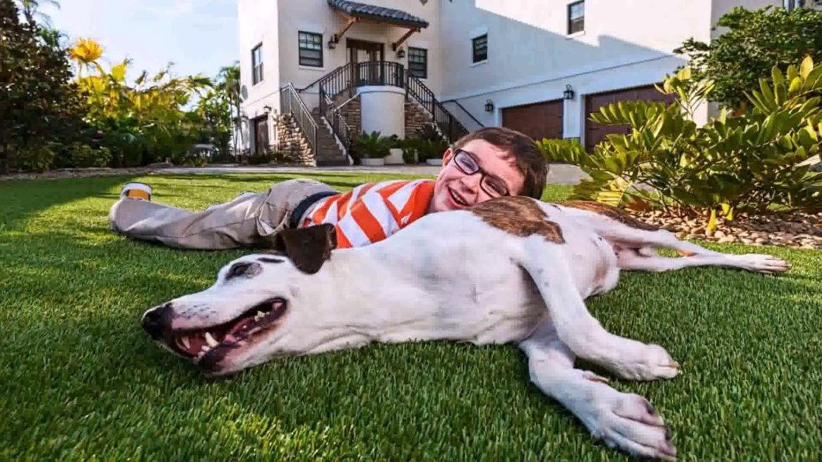 Backyard Landscaping Ideas With Pets