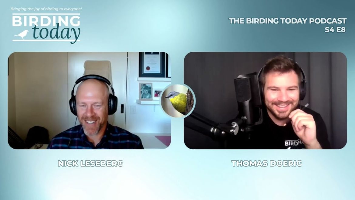 THE BIRDING TODAY PODCAST S4 E8 | Australia's Rarest Birds | NICK LESEBERG