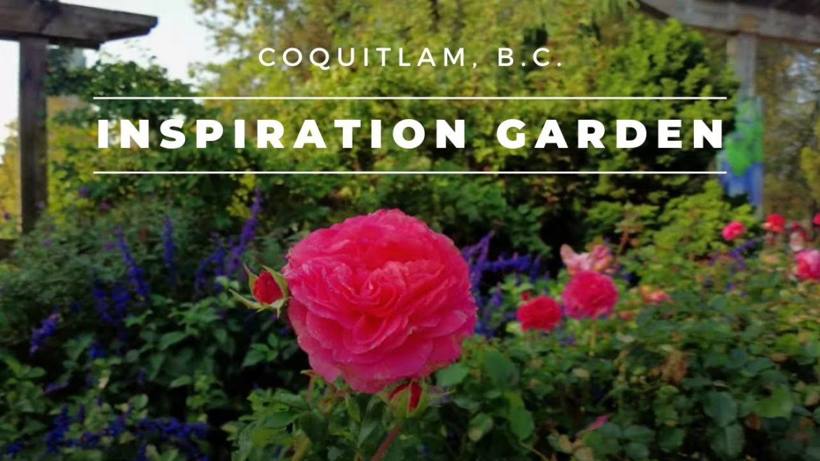 Inspiration Garden Explore Inspiration Garden Explore